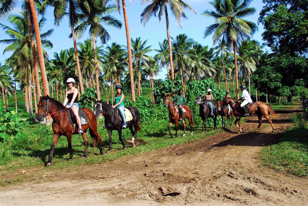 Shore Excursions - Adventure With Carnival Cruise Line!